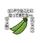 野菜ですが何科？④（個別スタンプ：25）