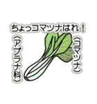 野菜ですが何科？④（個別スタンプ：26）