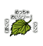 野菜ですが何科？④（個別スタンプ：27）