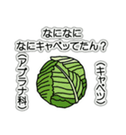 野菜ですが何科？④（個別スタンプ：29）