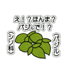 野菜ですが何科？④（個別スタンプ：30）