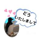 たけしの スタンプ その21（個別スタンプ：2）