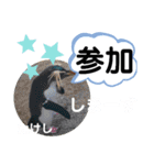 たけしの スタンプ その21（個別スタンプ：3）