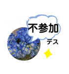 たけしの スタンプ その21（個別スタンプ：4）