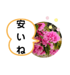 たけしの スタンプ その21（個別スタンプ：5）