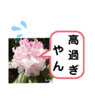 たけしの スタンプ その21（個別スタンプ：6）