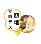 たけしの スタンプ その21（個別スタンプ：7）