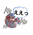 たけしの スタンプ その21（個別スタンプ：8）