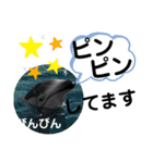 たけしの スタンプ その21（個別スタンプ：9）