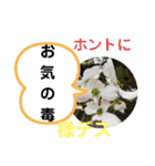 たけしの スタンプ その21（個別スタンプ：10）