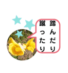 たけしの スタンプ その21（個別スタンプ：11）