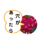 たけしの スタンプ その21（個別スタンプ：13）