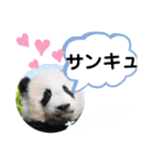 たけしの スタンプ その21（個別スタンプ：16）