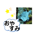 たけしの スタンプ その21（個別スタンプ：21）