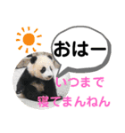 たけしの スタンプ その21（個別スタンプ：22）
