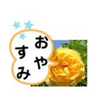 たけしの スタンプ その21（個別スタンプ：23）