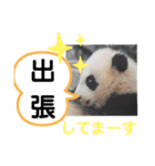 たけしの スタンプ その21（個別スタンプ：24）