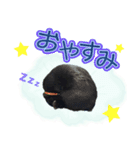 黒猫かぐら（個別スタンプ：10）