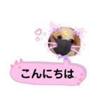 チワワのほのぼのクーピーの挨拶編（個別スタンプ：4）
