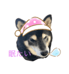 黒柴仁（個別スタンプ：15）