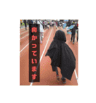 ジャッキー太郎・8（個別スタンプ：11）