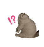 POMU！！！（個別スタンプ：3）