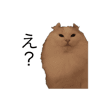 POMU！！！（個別スタンプ：9）