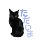 なかまたち②（個別スタンプ：4）