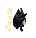なかまたち②（個別スタンプ：9）