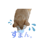 なかまたち②（個別スタンプ：10）