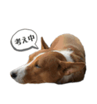なかまたち②（個別スタンプ：20）