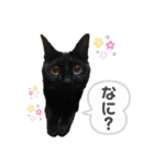 なかまたち②（個別スタンプ：21）