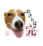 なかまたち②（個別スタンプ：30）