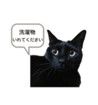 なかまたち②（個別スタンプ：33）