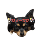 こはなひめスタンプ（個別スタンプ：9）