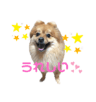 こはなひめスタンプ（個別スタンプ：20）