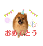 こはなひめスタンプ（個別スタンプ：31）