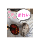 ソフィーとミーシャとココのスタンプ（個別スタンプ：27）