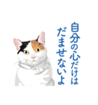 背中を押してくれる猫たちの一言（個別スタンプ：1）