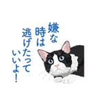 背中を押してくれる猫たちの一言（個別スタンプ：6）