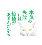 背中を押してくれる猫たちの一言（個別スタンプ：7）