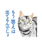 背中を押してくれる猫たちの一言（個別スタンプ：11）