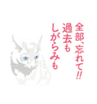 背中を押してくれる猫たちの一言（個別スタンプ：14）