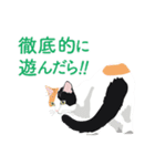 背中を押してくれる猫たちの一言（個別スタンプ：17）