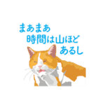 背中を押してくれる猫たちの一言（個別スタンプ：21）