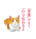 背中を押してくれる猫たちの一言（個別スタンプ：24）