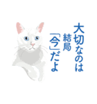 背中を押してくれる猫たちの一言（個別スタンプ：25）