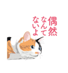 背中を押してくれる猫たちの一言（個別スタンプ：27）