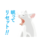 背中を押してくれる猫たちの一言（個別スタンプ：28）