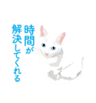 背中を押してくれる猫たちの一言（個別スタンプ：29）